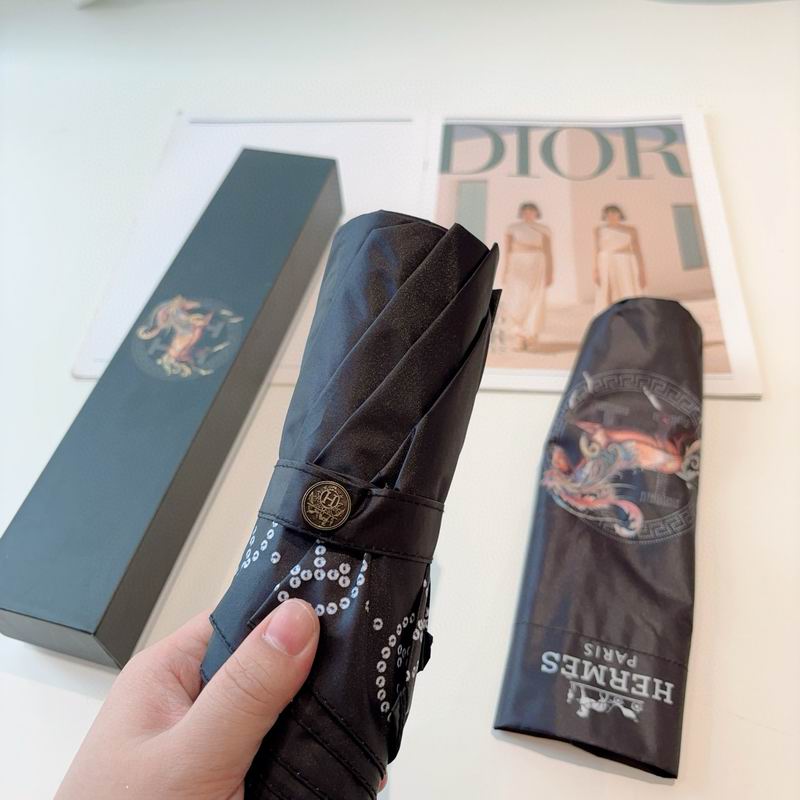 Hermes Umbrella (21)