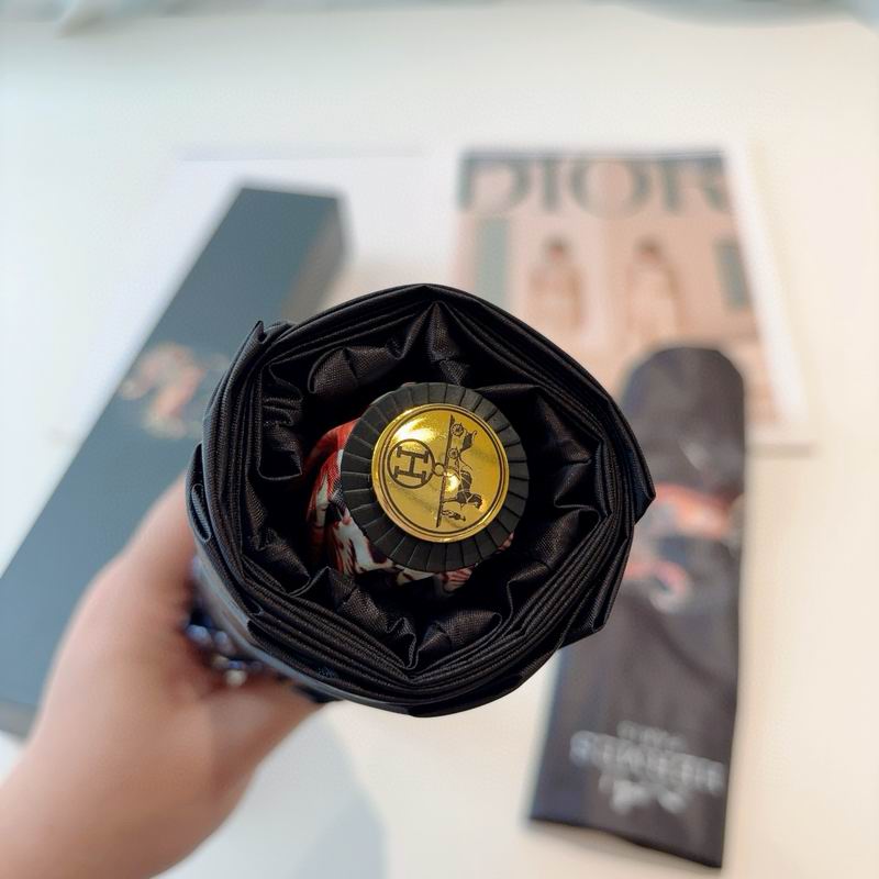 Hermes Umbrella (22)