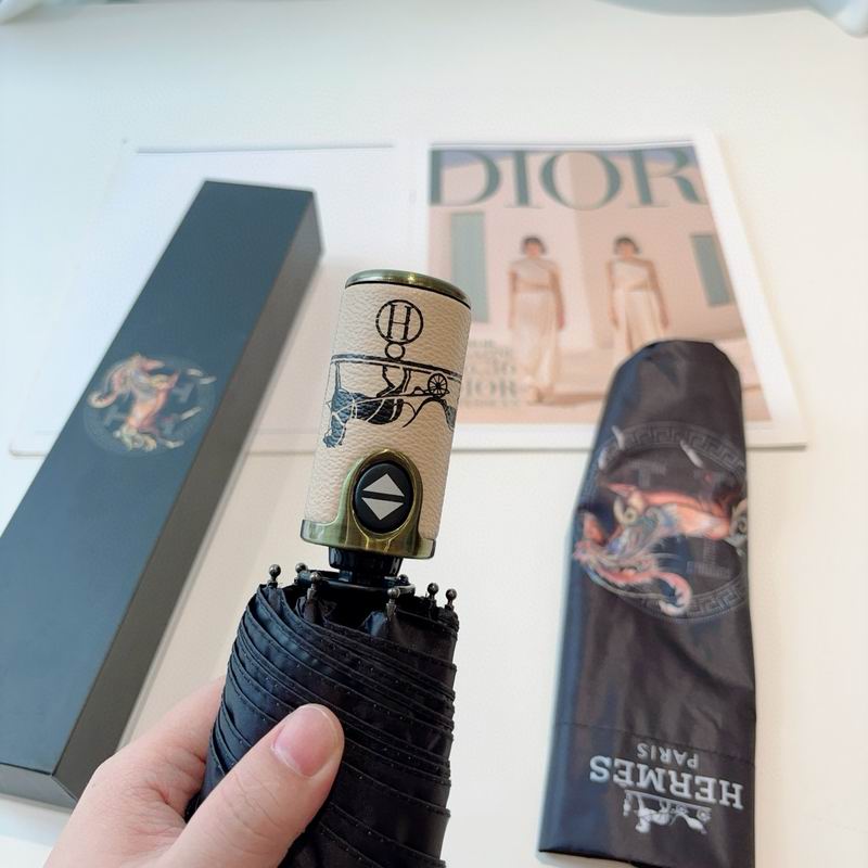 Hermes Umbrella (23)