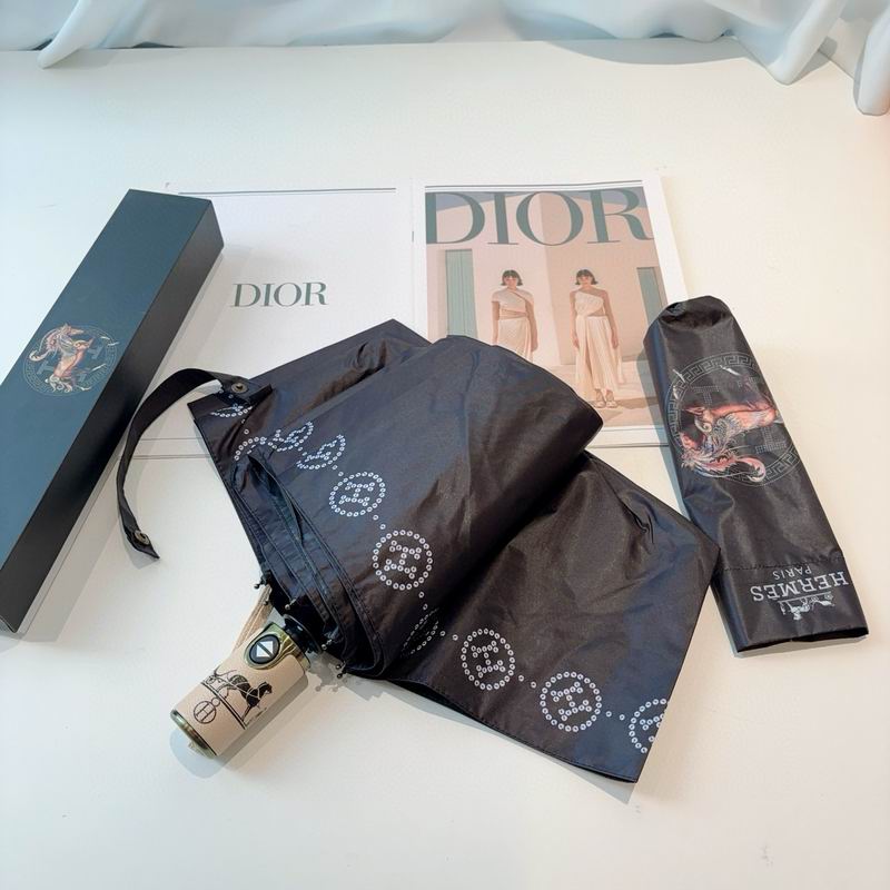 Hermes Umbrella (24)