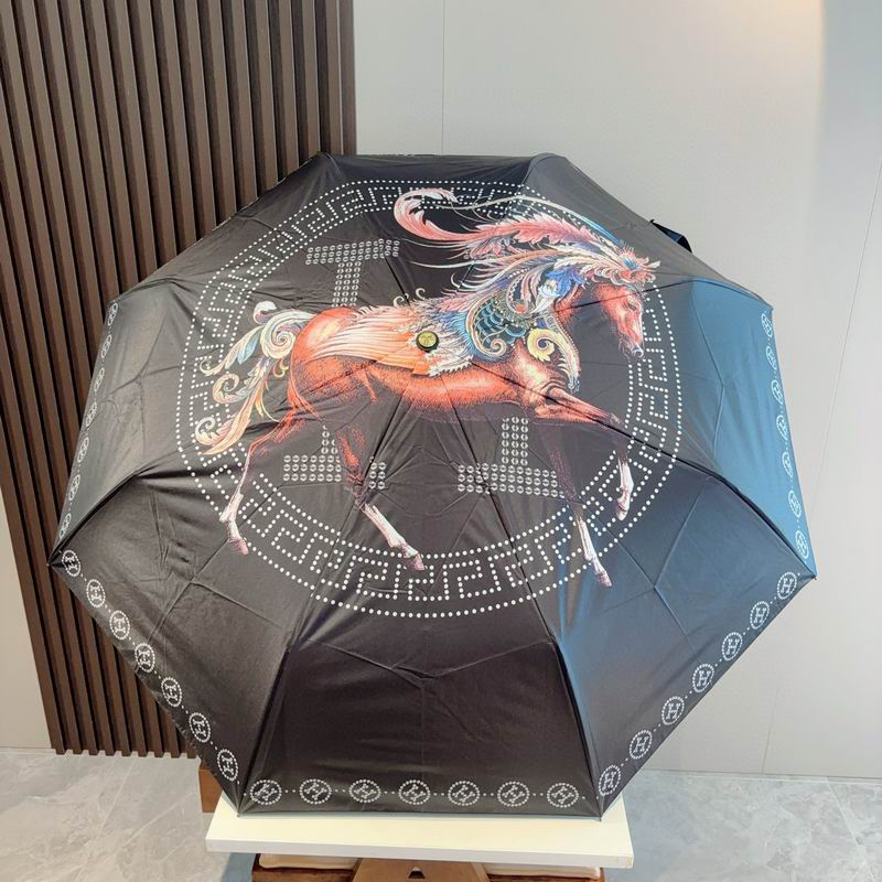 Hermes Umbrella (25)