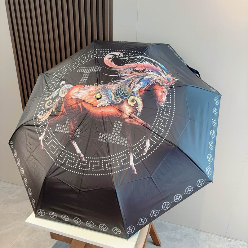 Hermes Umbrella (26)