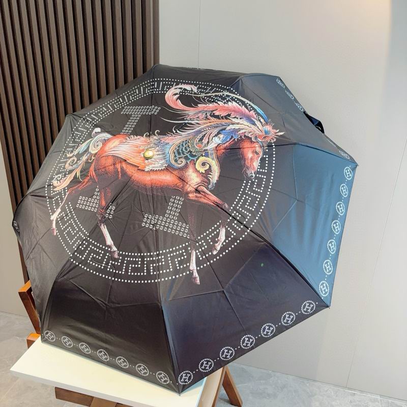 Hermes Umbrella (27)