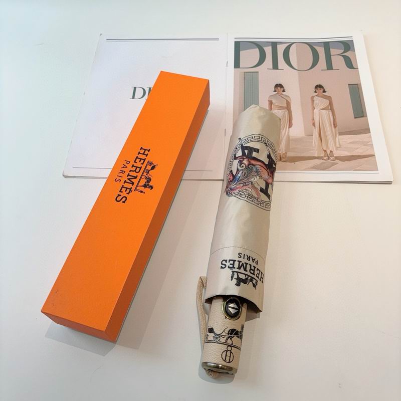 Hermes Umbrella (29)
