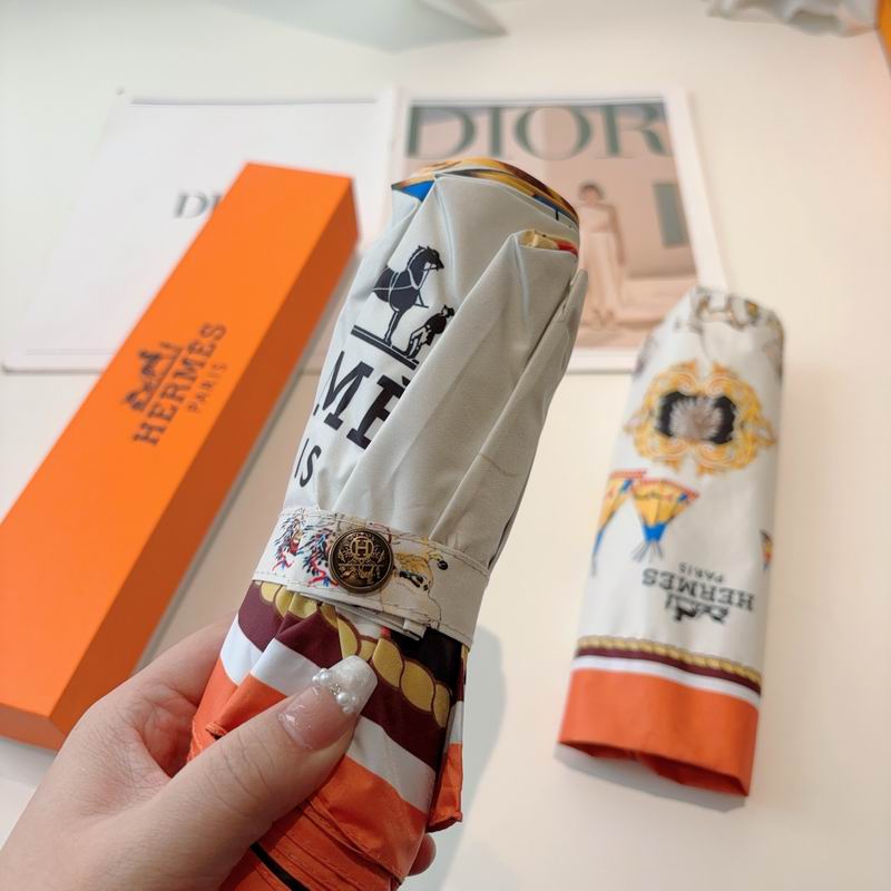 Hermes Umbrella (3)
