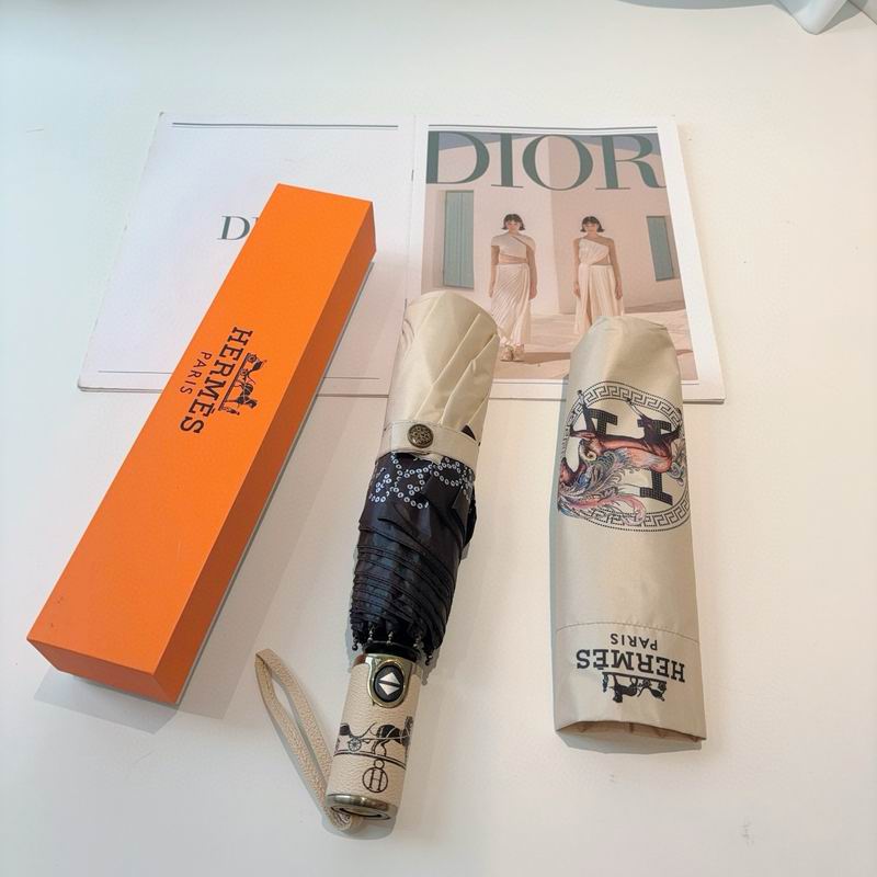 Hermes Umbrella (30)