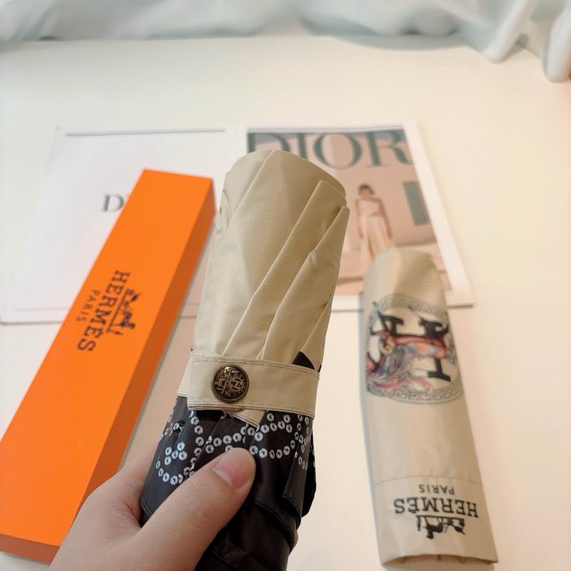 Hermes Umbrella (31)