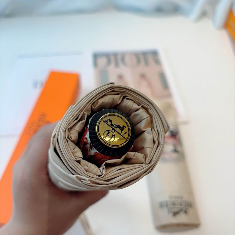 Hermes Umbrella (32)