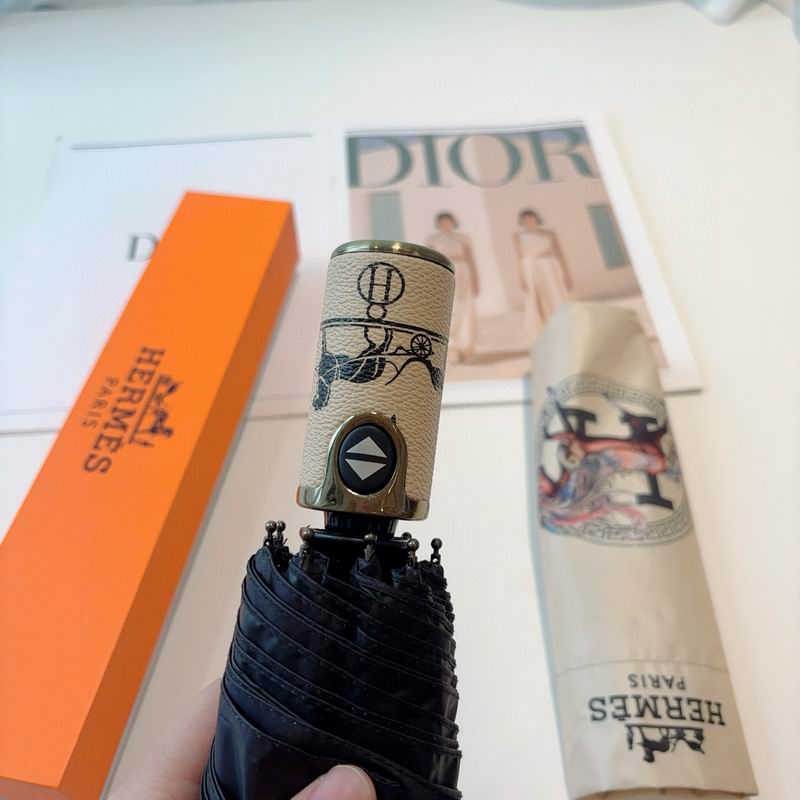 Hermes Umbrella (33)