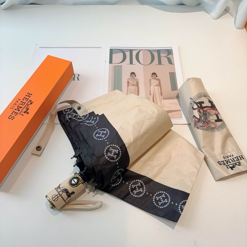 Hermes Umbrella (34)