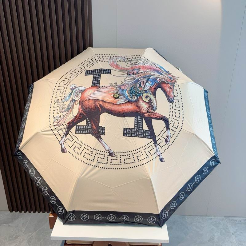 Hermes Umbrella (35)