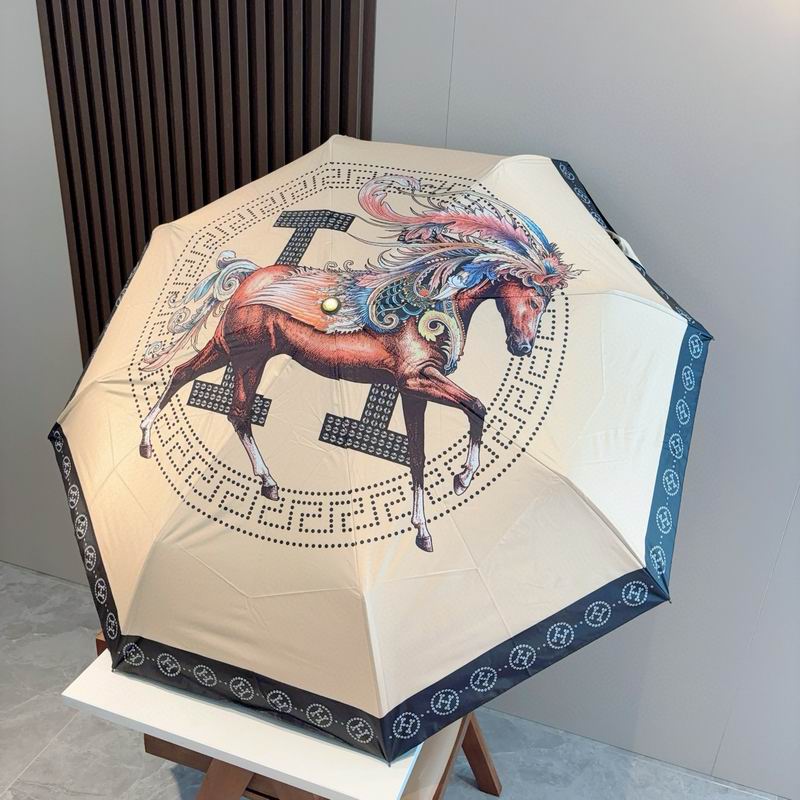 Hermes Umbrella (36)
