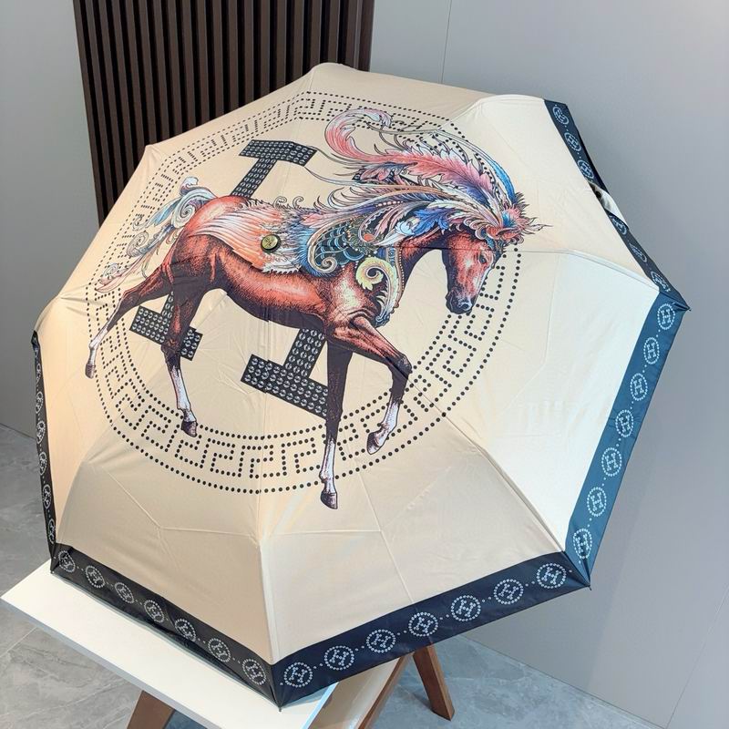 Hermes Umbrella (37)