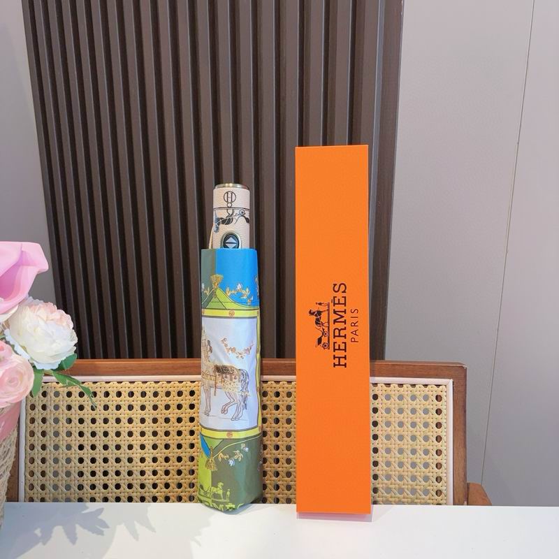 Hermes Umbrella (38)