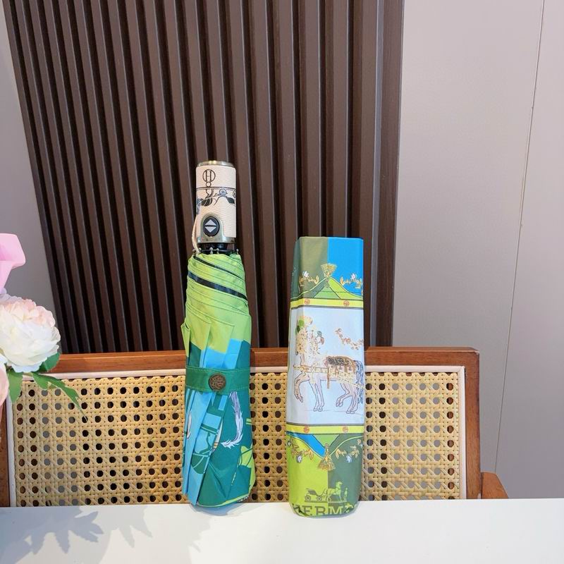 Hermes Umbrella (39)