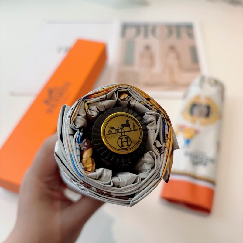 Hermes Umbrella (4)