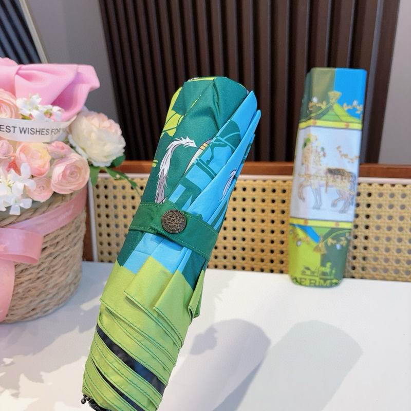 Hermes Umbrella (40)