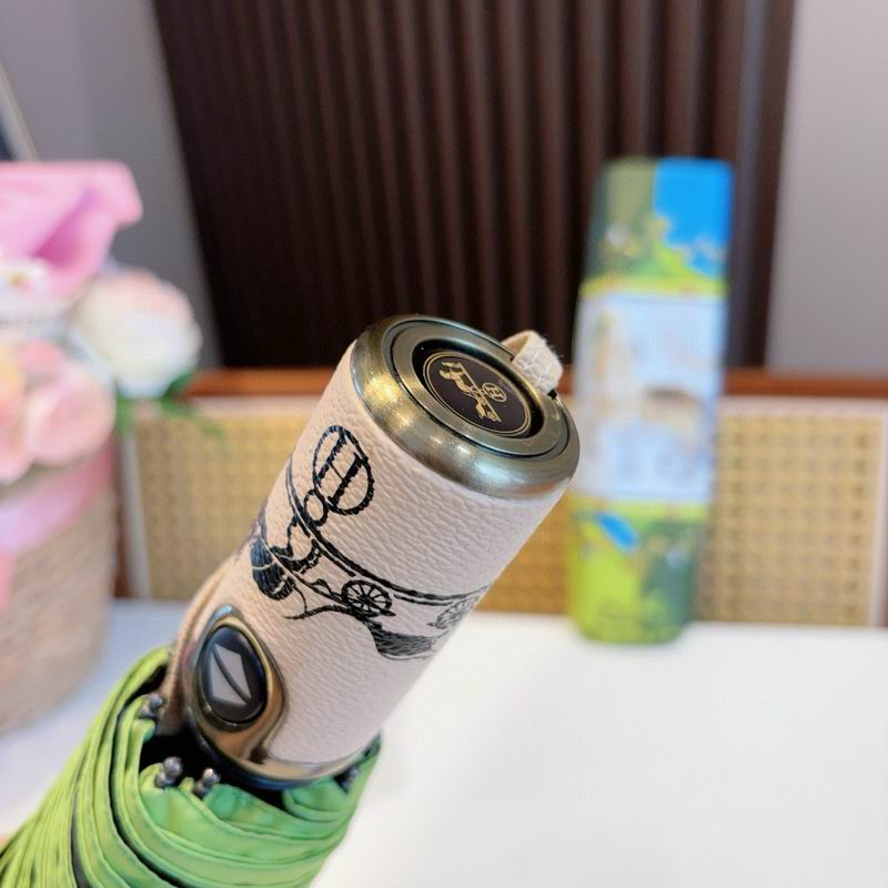 Hermes Umbrella (41)