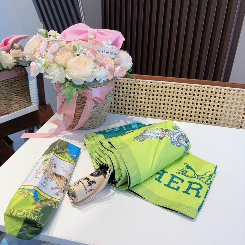 Hermes Umbrella (43)
