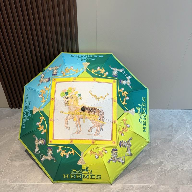 Hermes Umbrella (44)