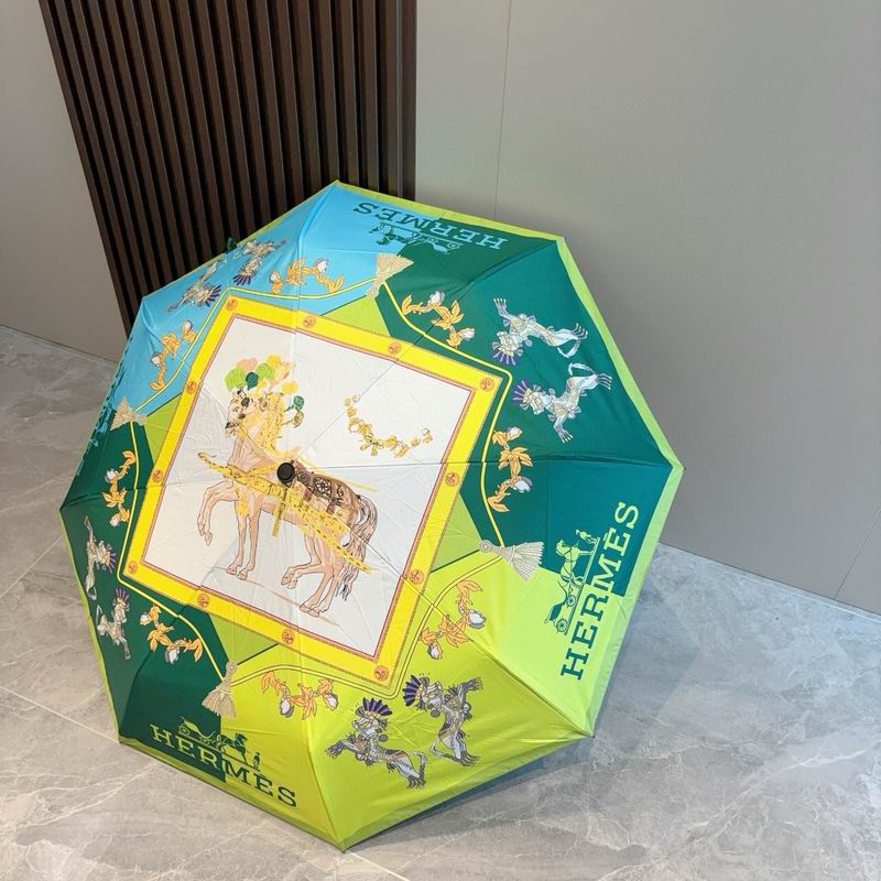 Hermes Umbrella (45)