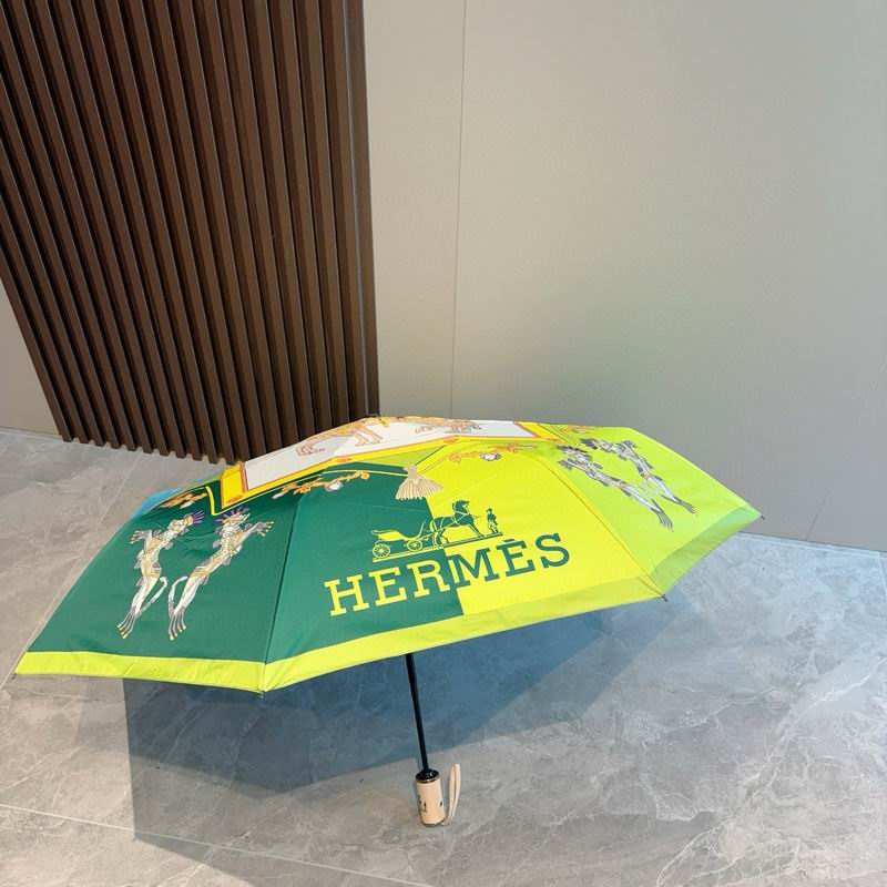 Hermes Umbrella (46)