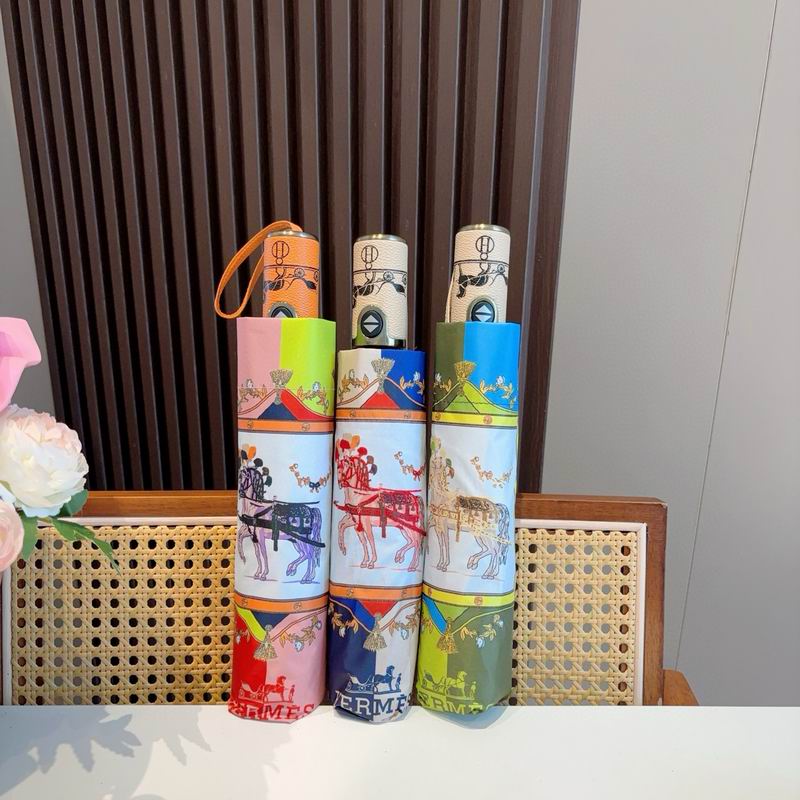 Hermes Umbrella (47)