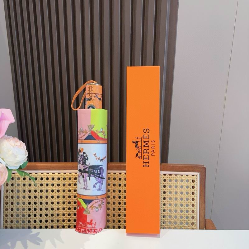 Hermes Umbrella (48)