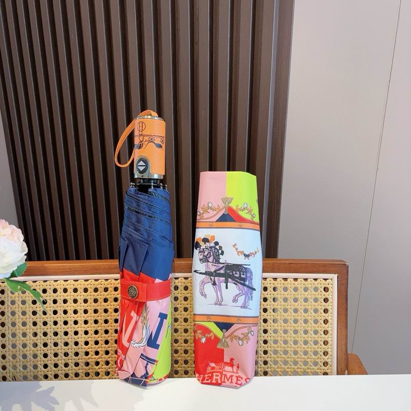 Hermes Umbrella (49)
