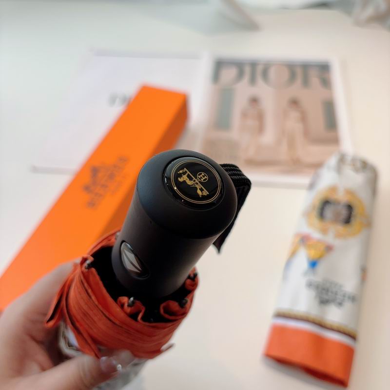 Hermes Umbrella (5)