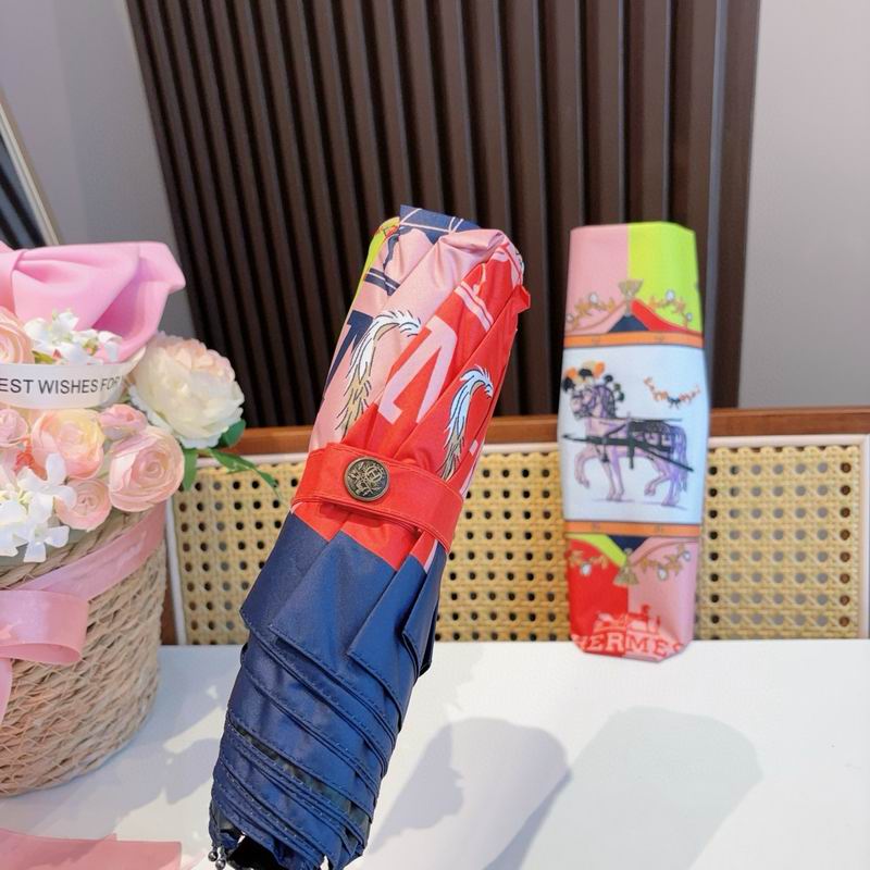 Hermes Umbrella (50)