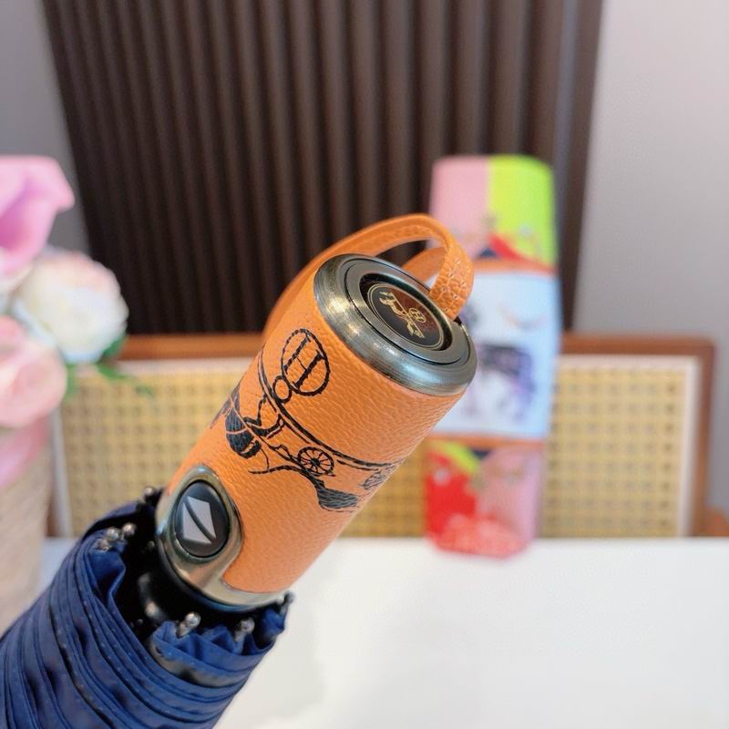 Hermes Umbrella (51)