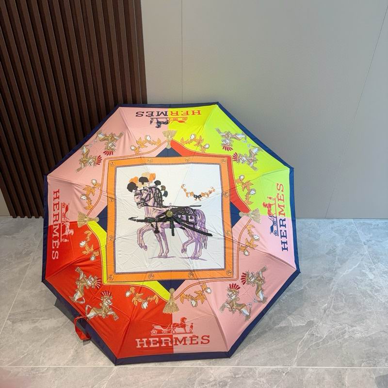 Hermes Umbrella (53)