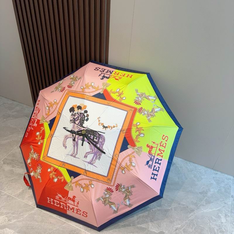 Hermes Umbrella (54)