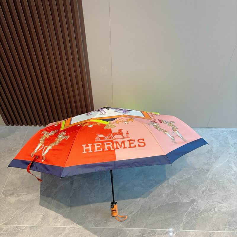 Hermes Umbrella (55)