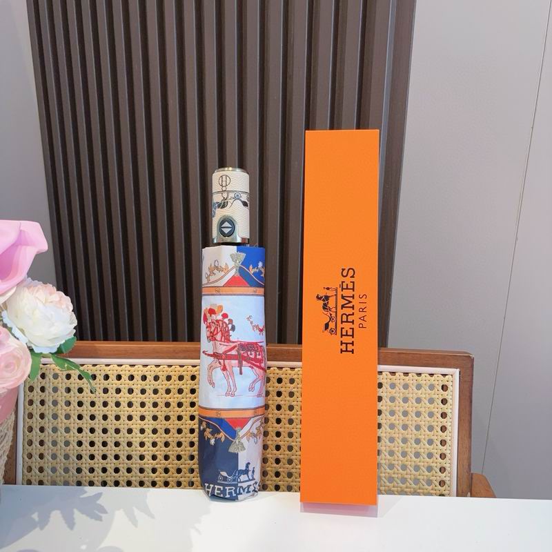 Hermes Umbrella (56)