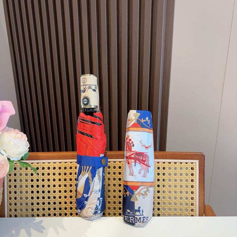 Hermes Umbrella (57)