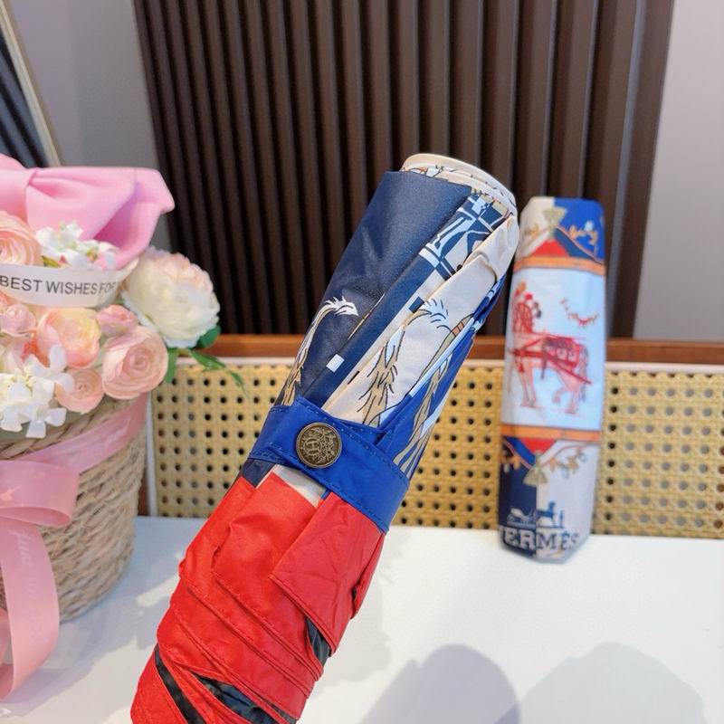 Hermes Umbrella (58)