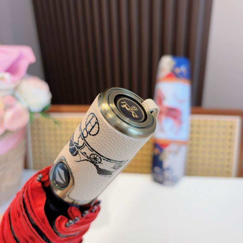 Hermes Umbrella (59)