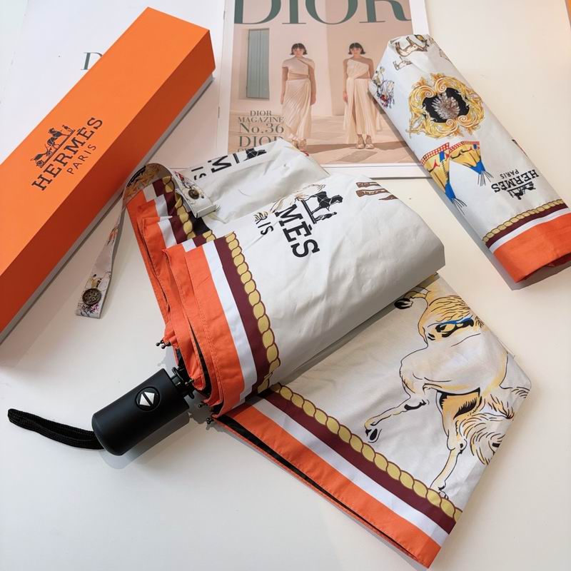 Hermes Umbrella (6)