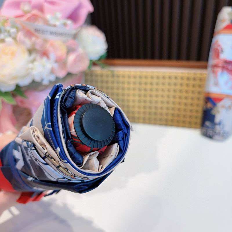 Hermes Umbrella (60)