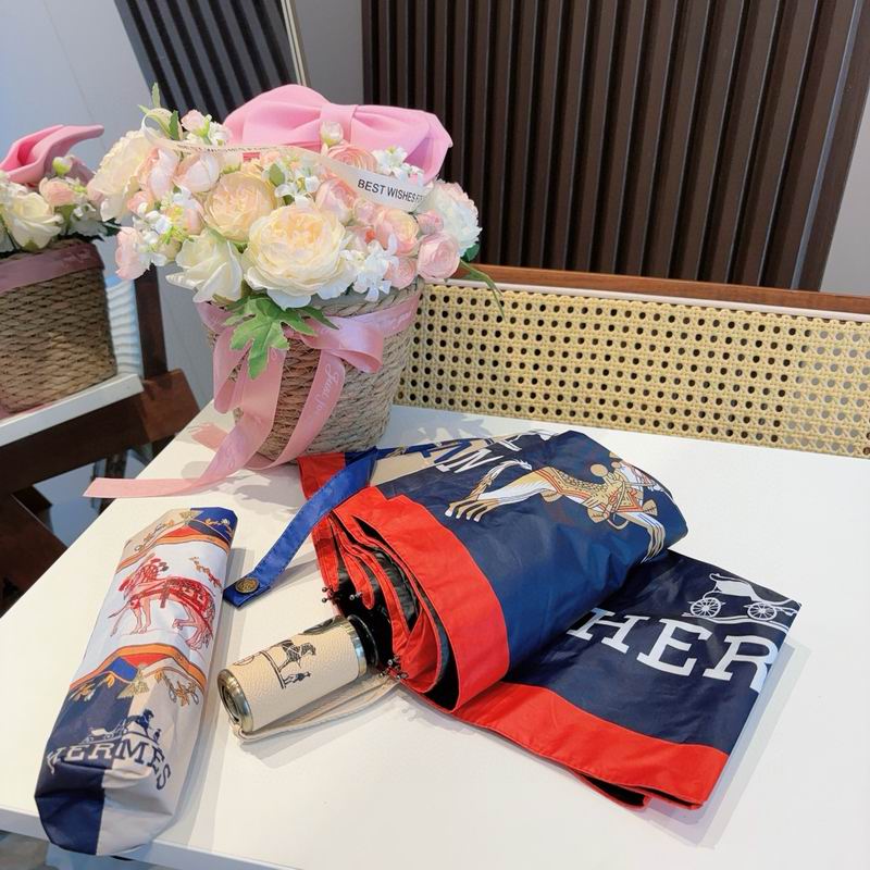 Hermes Umbrella (61)