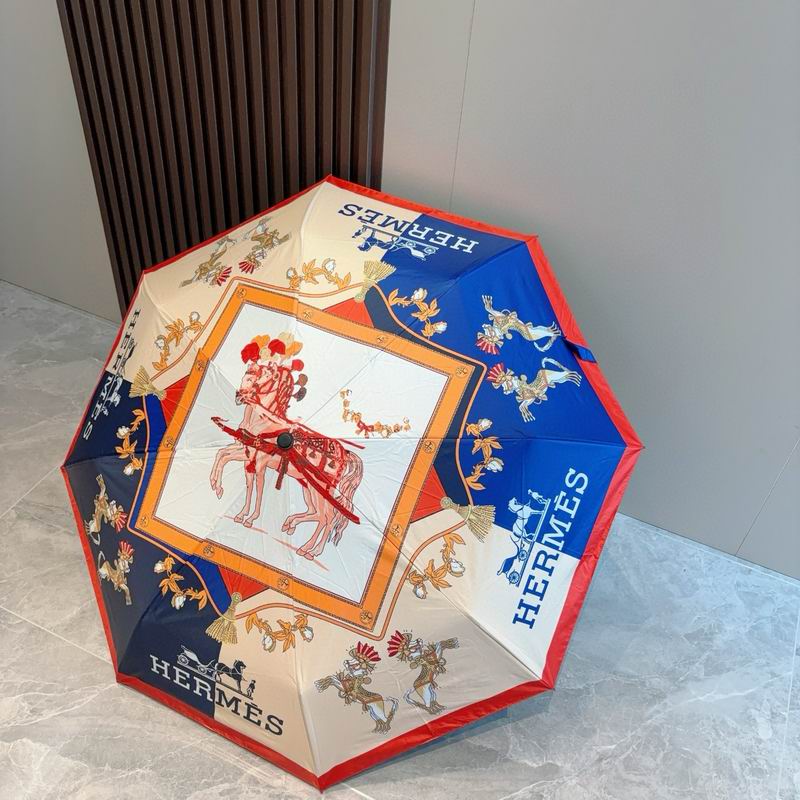 Hermes Umbrella (63)