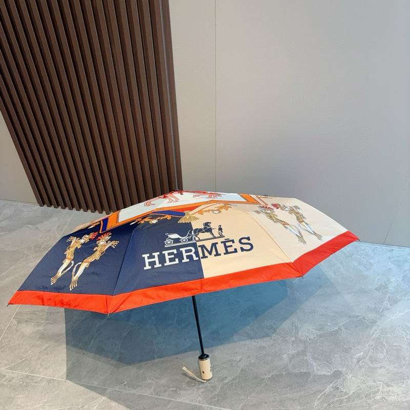 Hermes Umbrella (64)