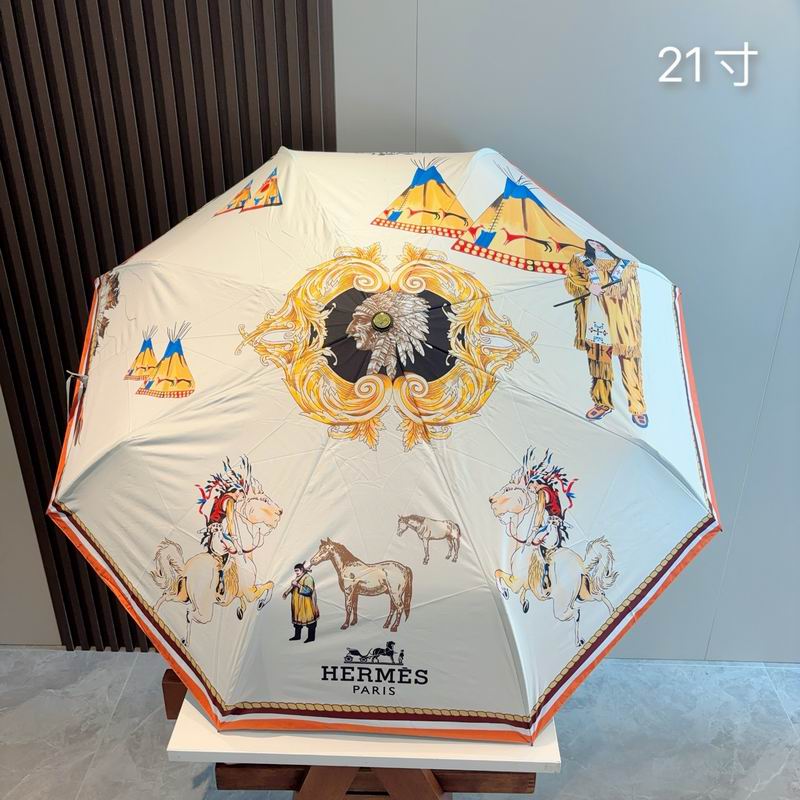Hermes Umbrella (7)