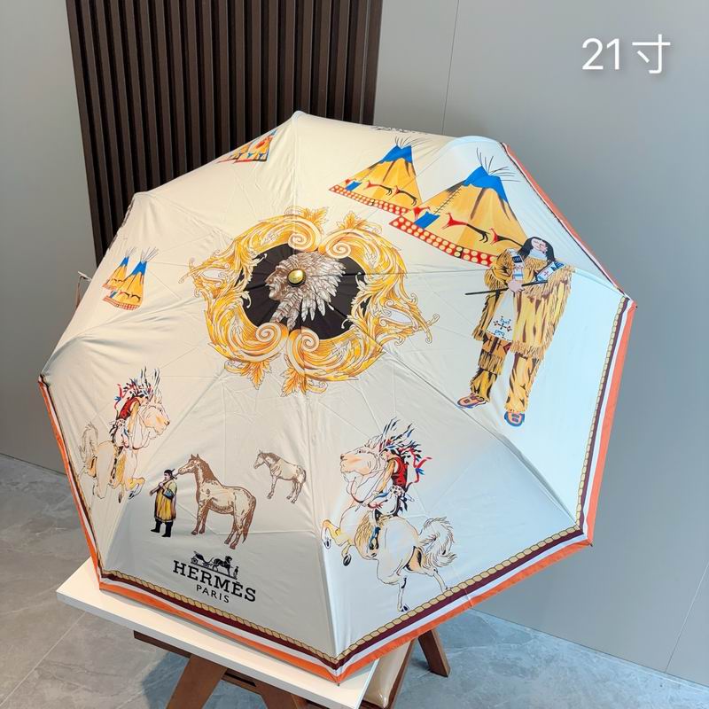 Hermes Umbrella (8)