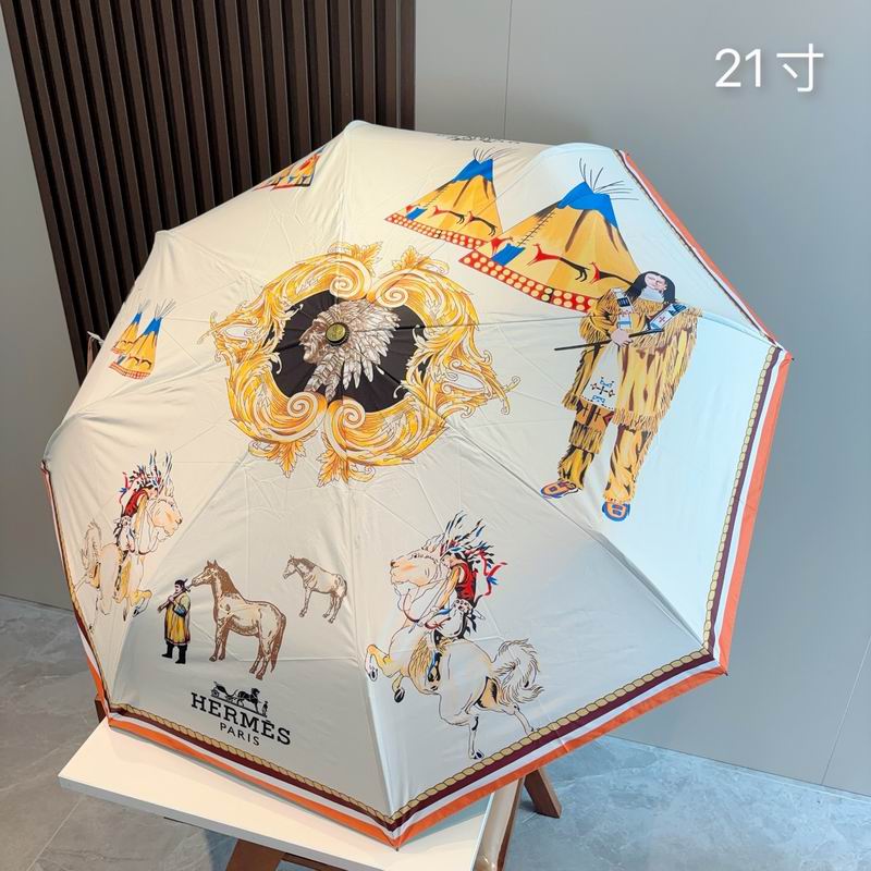 Hermes Umbrella (9)