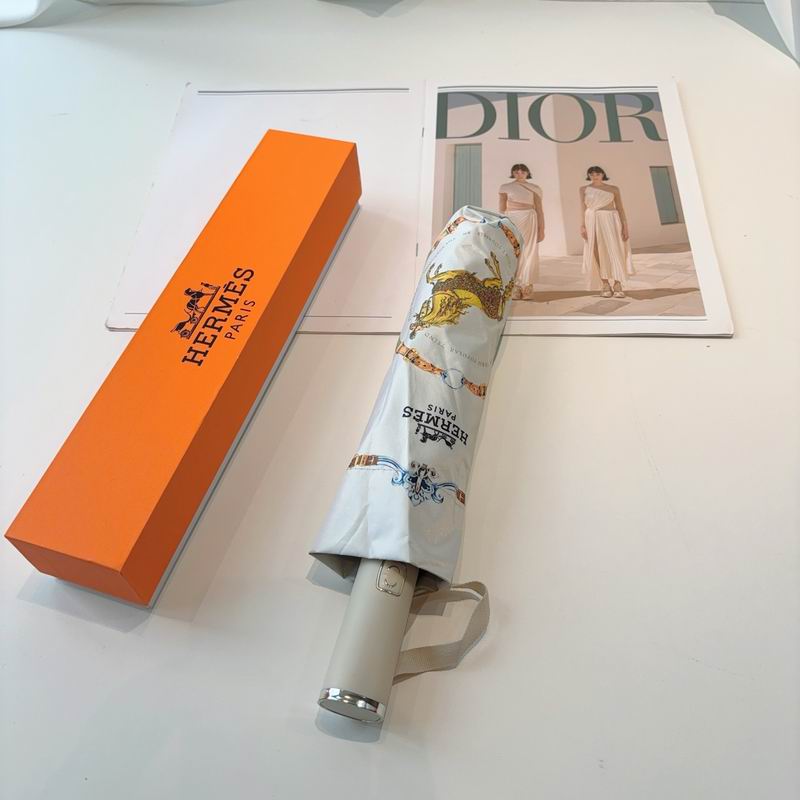 Hermes Umbrella- (1)