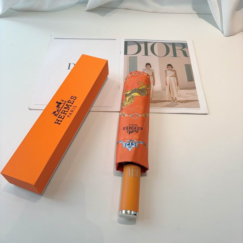 Hermes Umbrella- (10)
