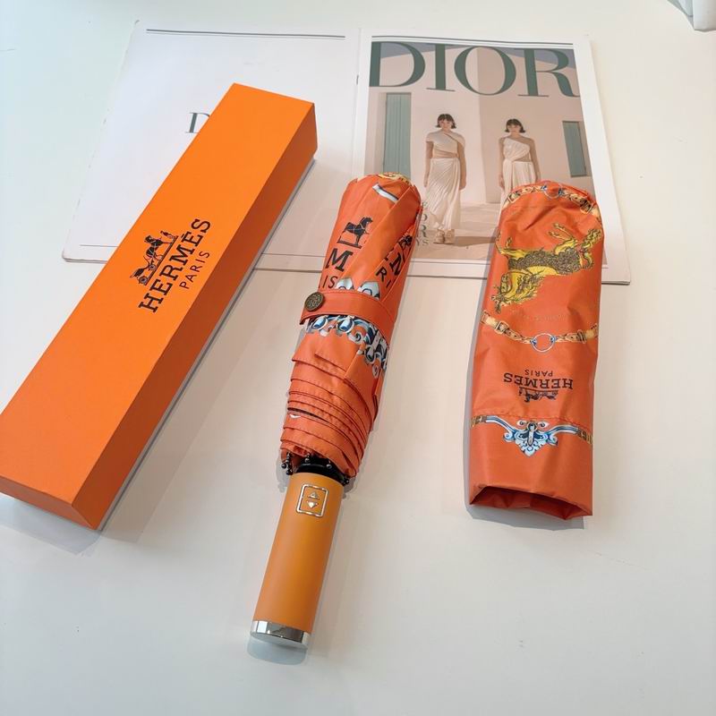 Hermes Umbrella- (11)